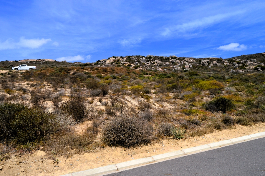 0 Bedroom Property for Sale in Steenbergs Cove Western Cape